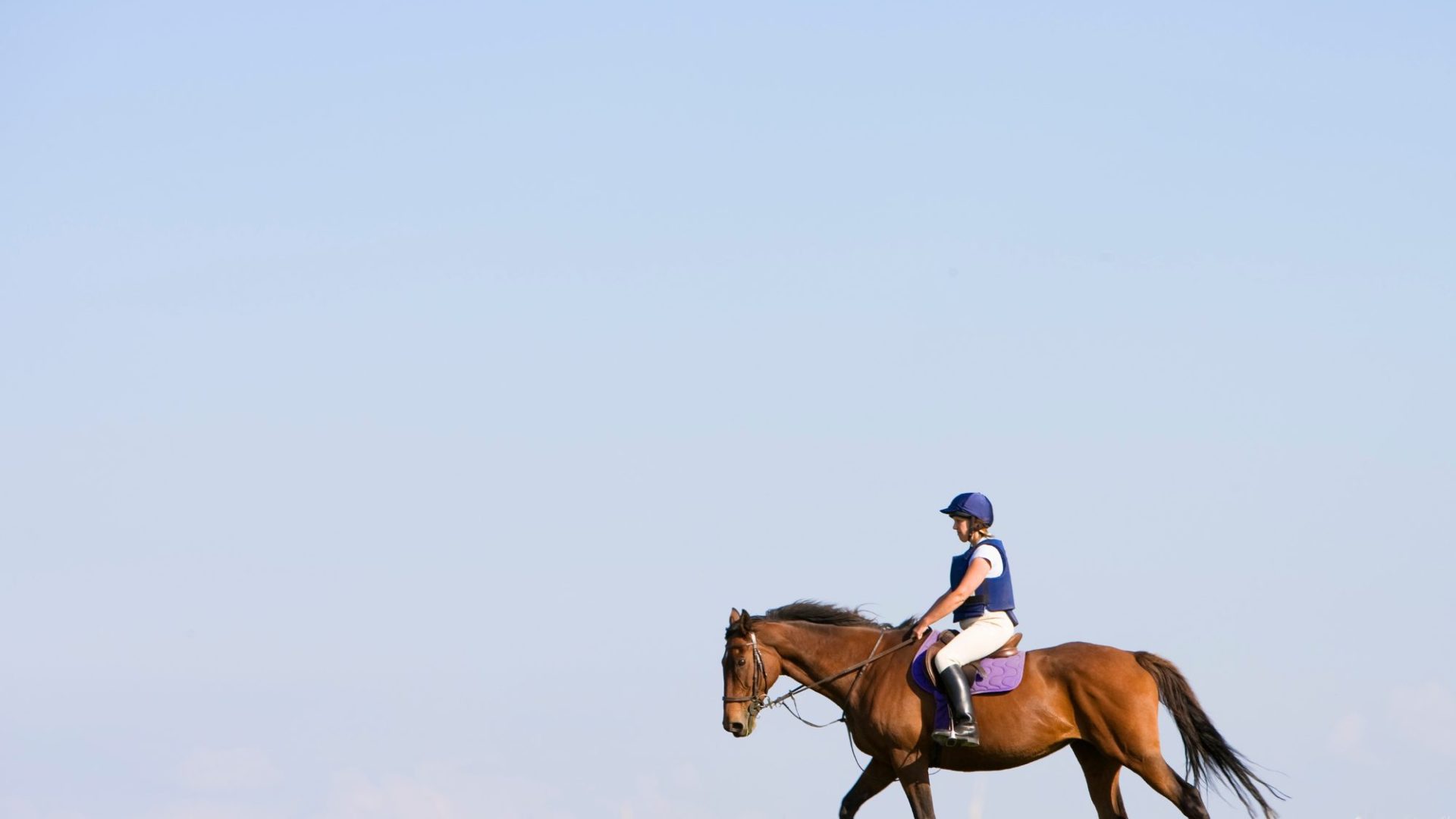 Horse riding on the horizon