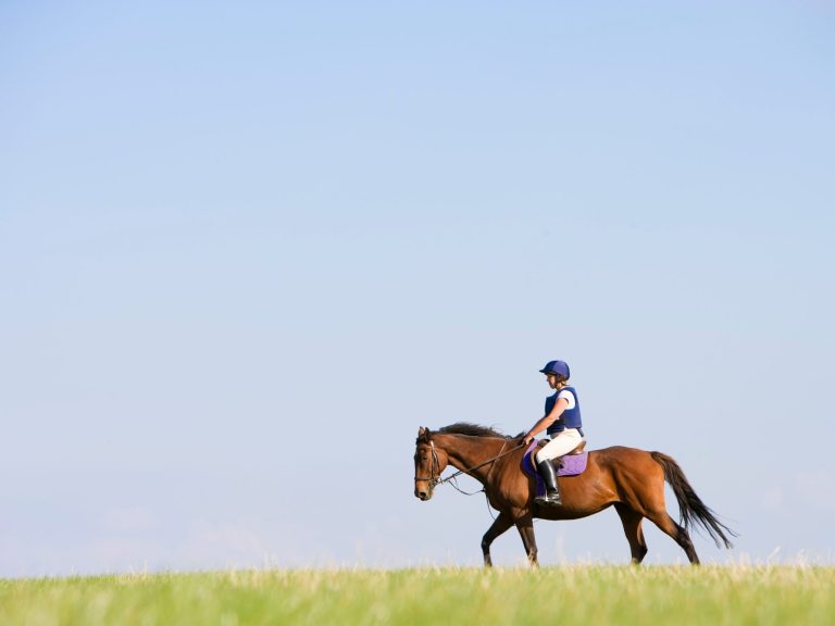 Horse riding on the horizon