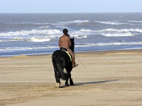 Horseriding on a beach in Dorset