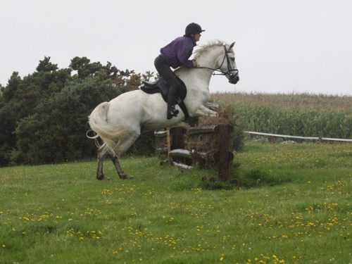 Lulworth Horse riding