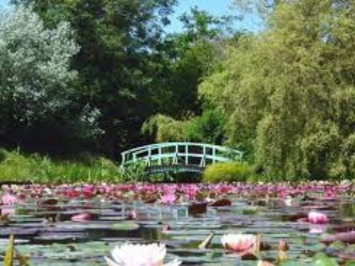 Bennets Water Garden in Dorset