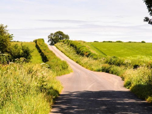 Road in Dorset