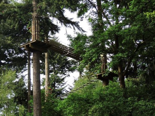 Go Ape, A family Day out in Dorset