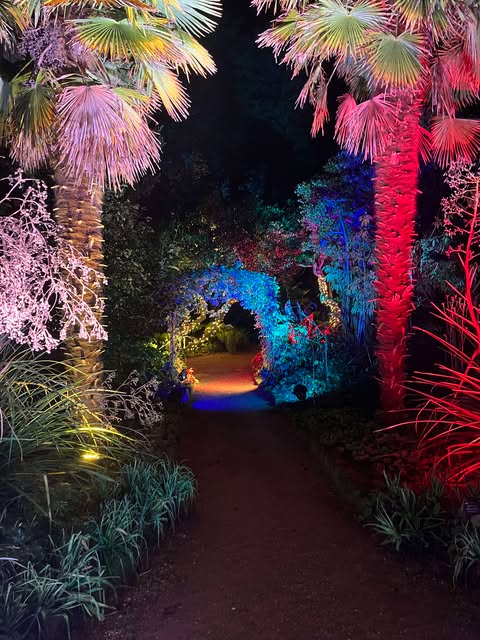 christmas lights at abbotsbury gardens