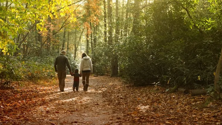 October Half Term Cottages in Dorset