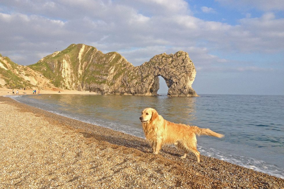 Dorset-dog-friendly-beaches-The-Pink-House-Lulworth_IMG_8429-980×653