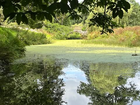 minter gardens view over lake to bridge