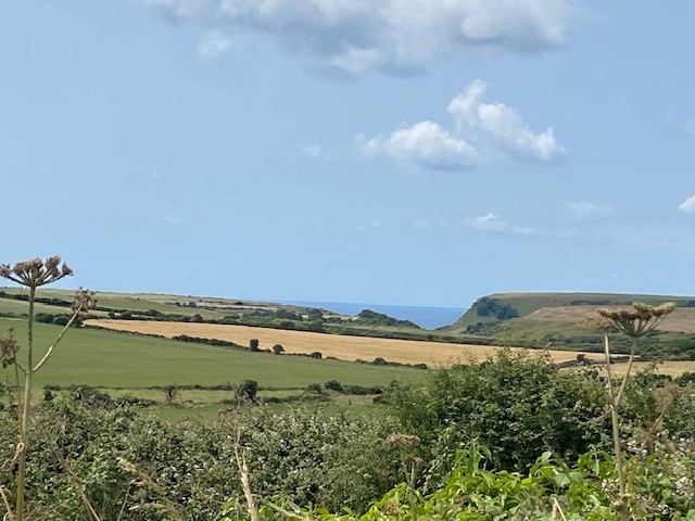 countryside around langton matravers