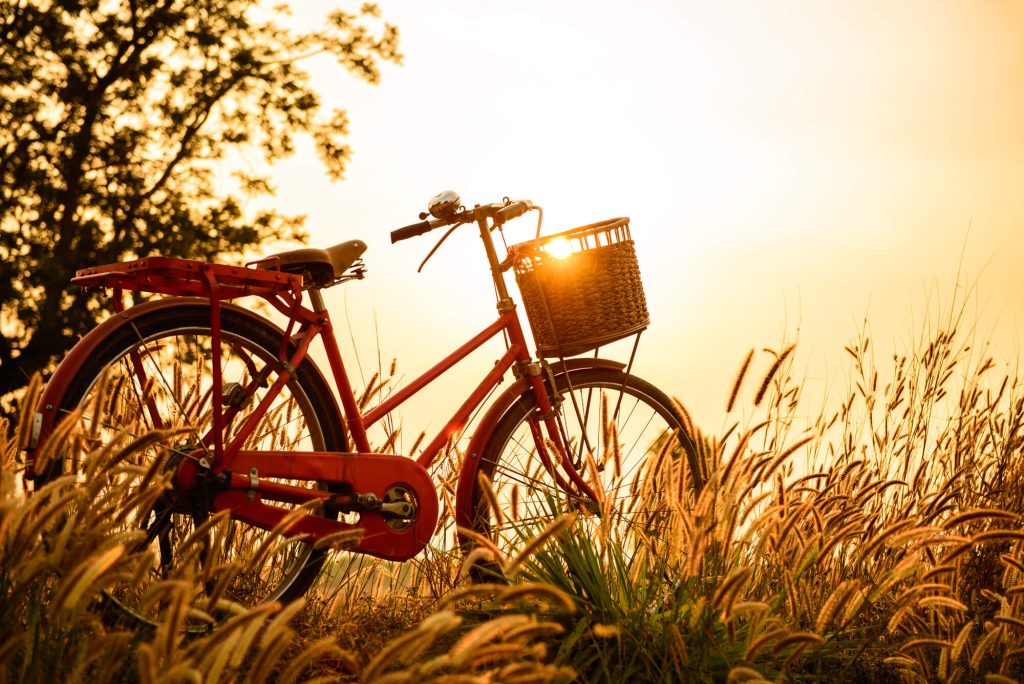 bike on a summer evening