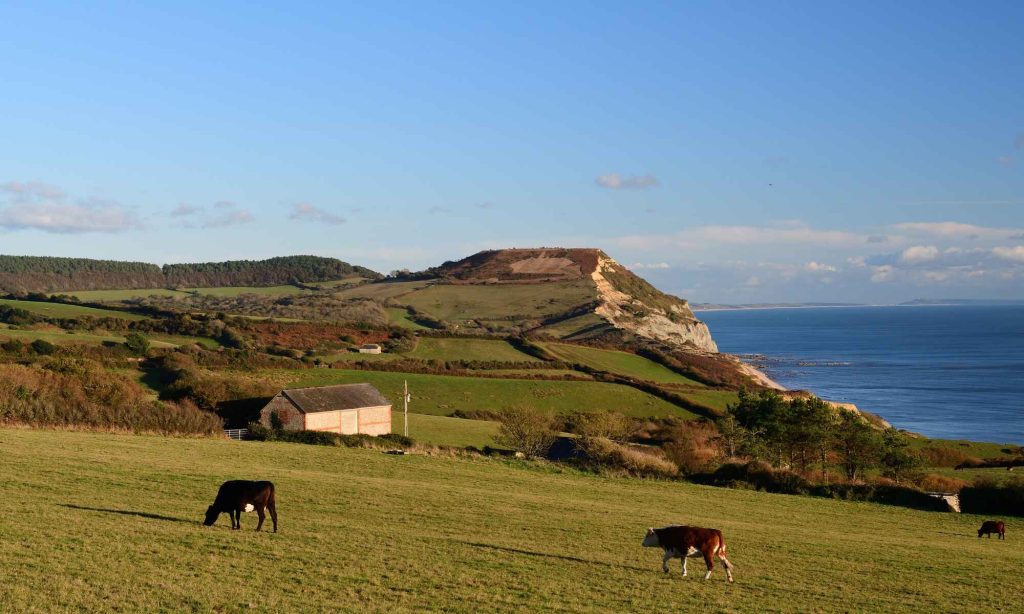 Golden Cap, the highest point on the South Coast