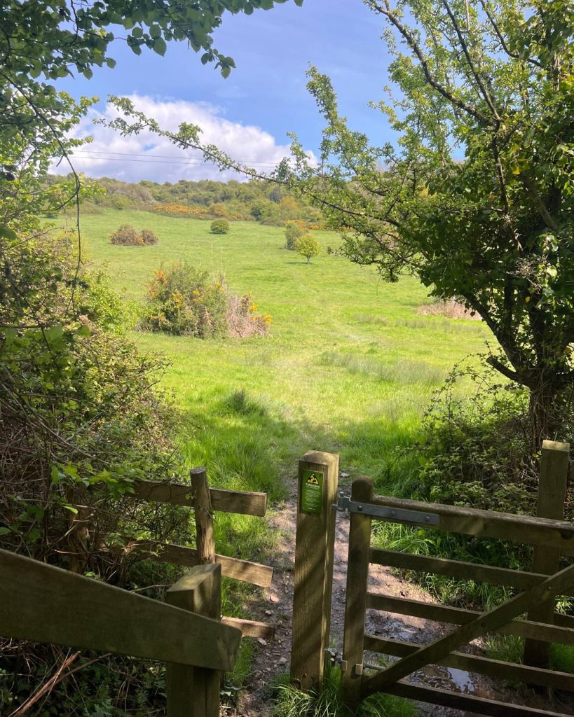 A gate overlooking lorton meadows, a nature reserve in Weymouth