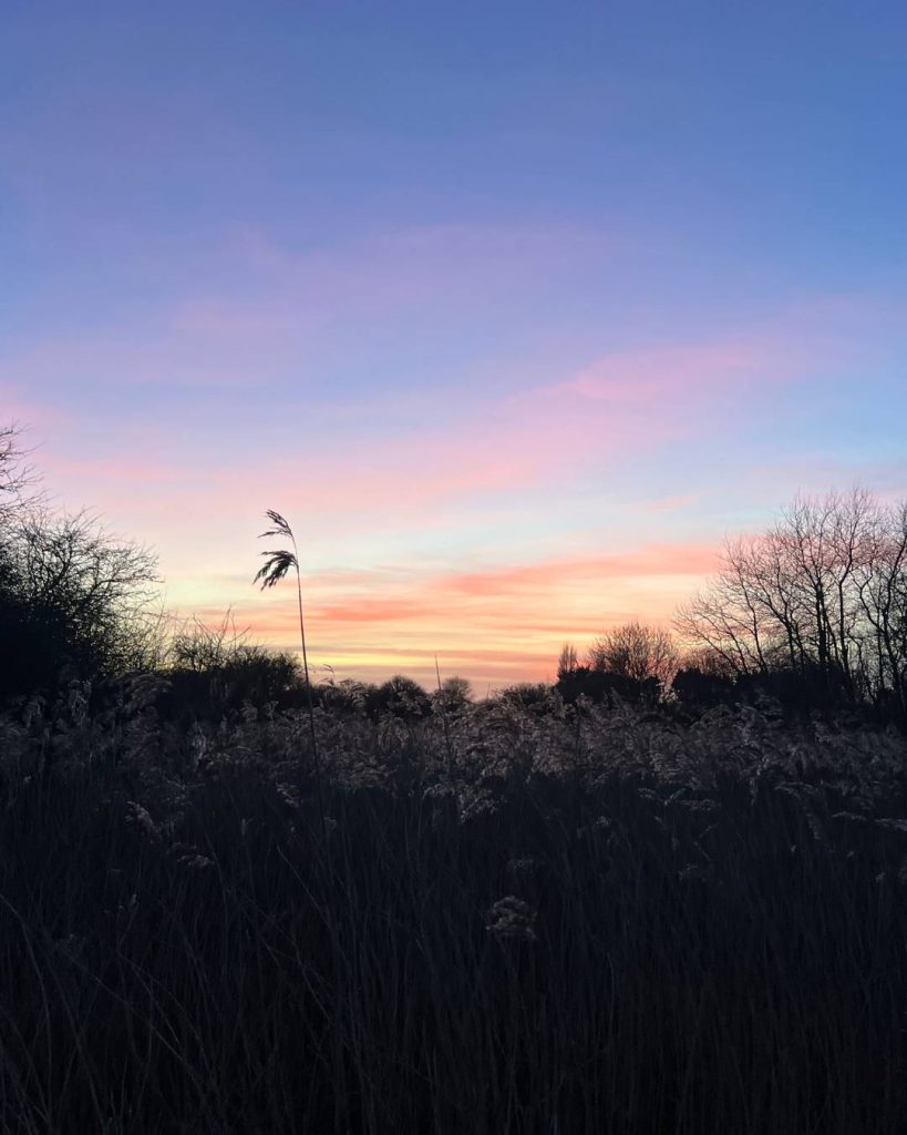 weymouth Nature reserve at dusk