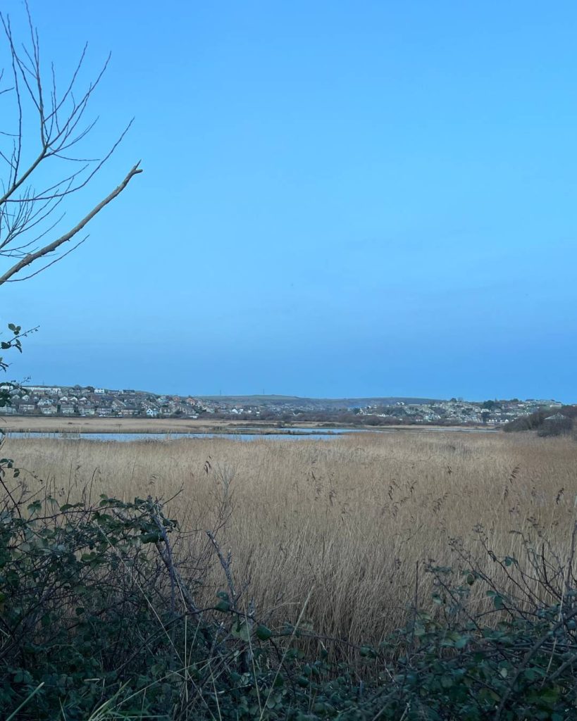 Lodmoor Nature Reserve in Weymouth