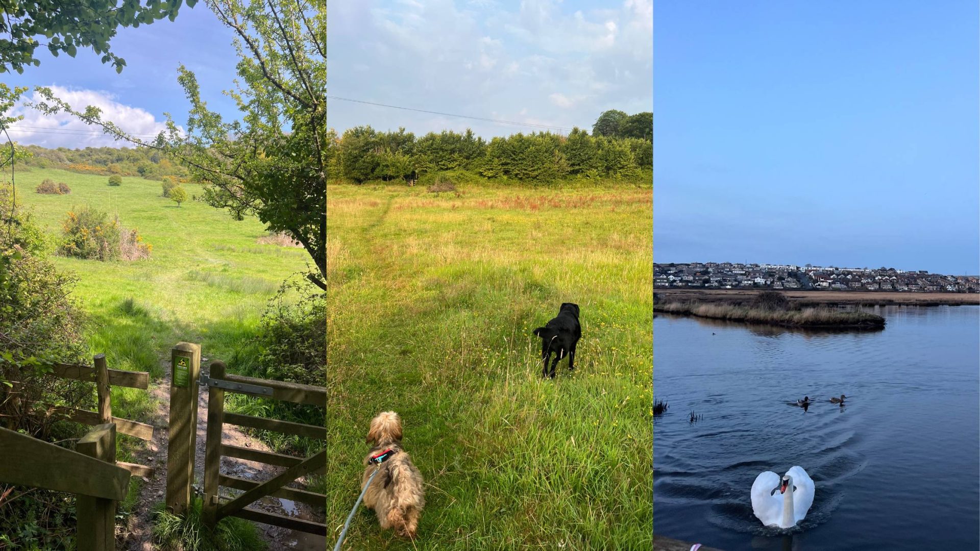 Nature Reserves in Weymouth