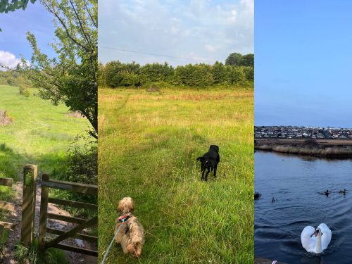 Nature Reserves in Weymouth