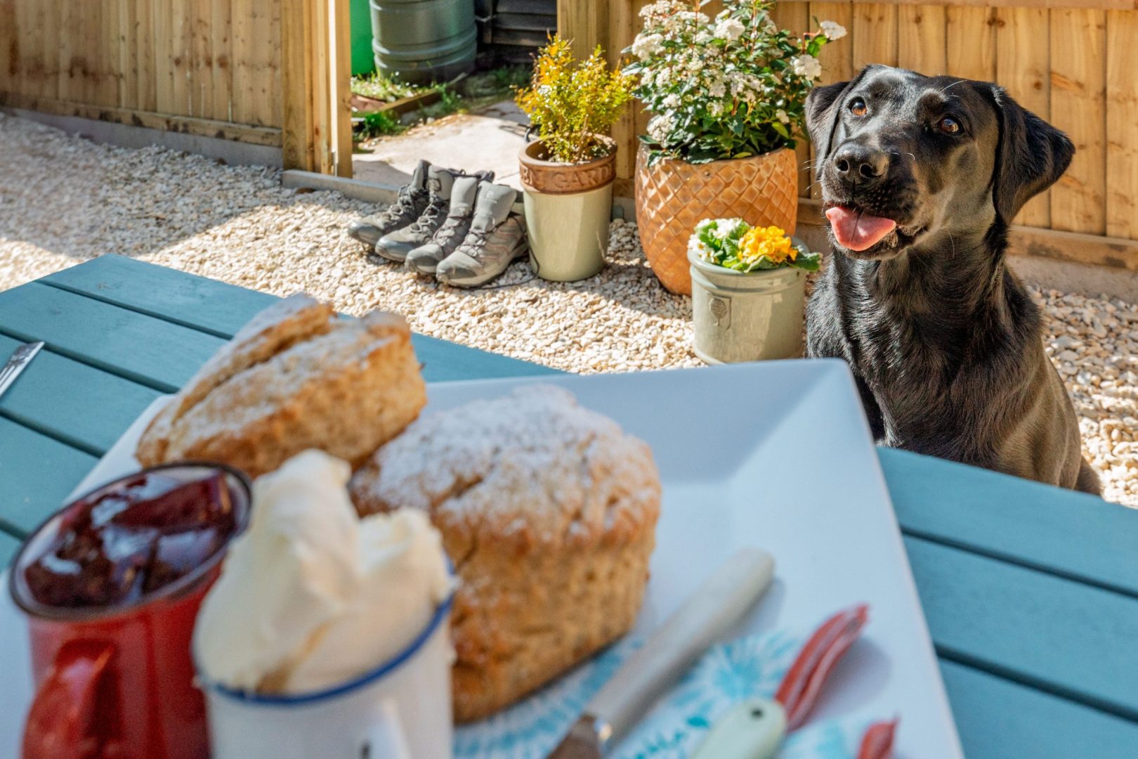 Little Strouds image