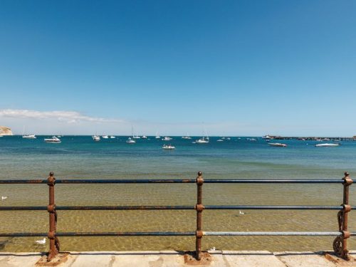 Bayview image