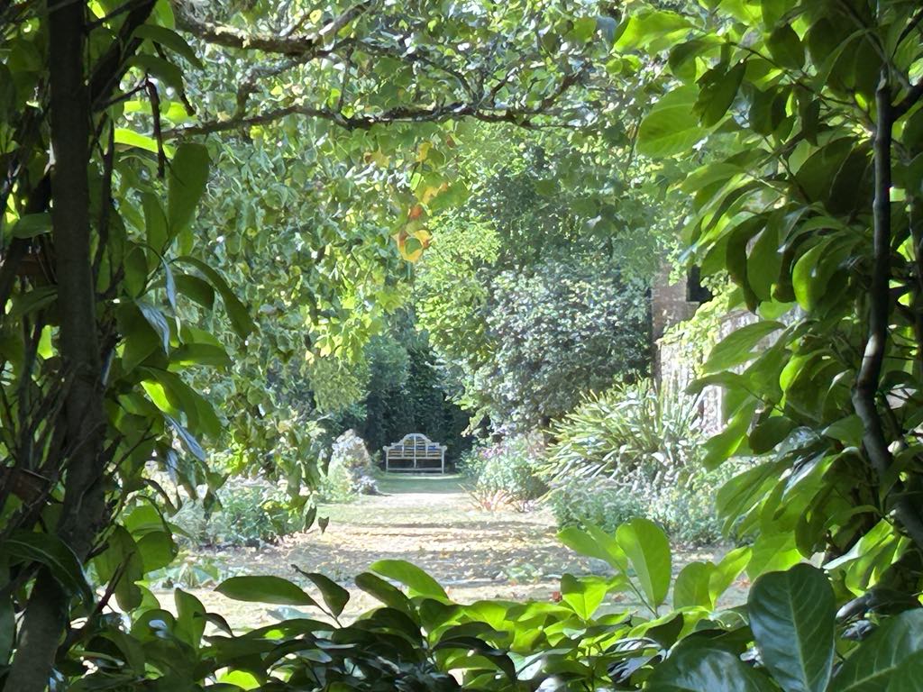 athelhampton house garden bench