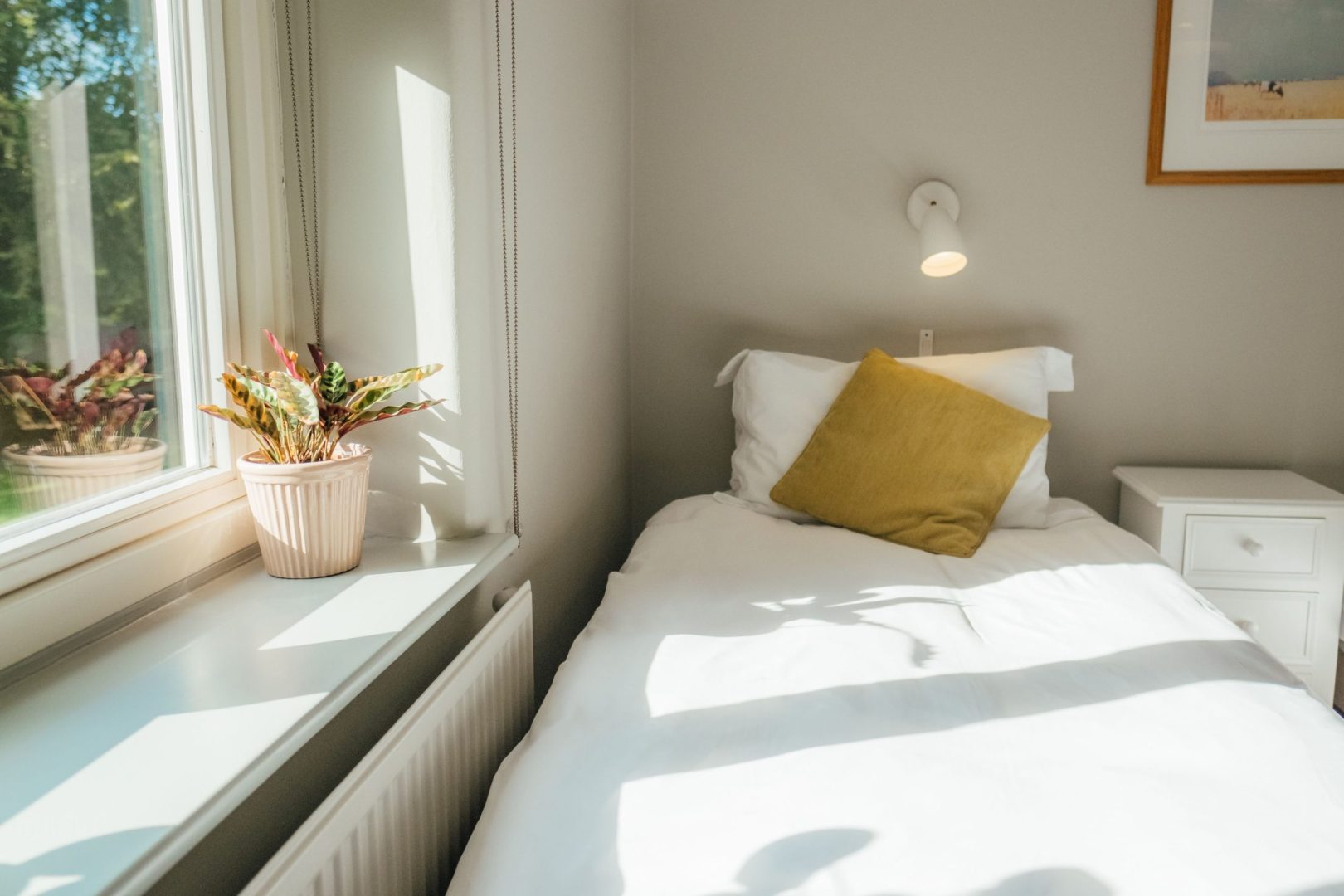 Jasmine Cottage image