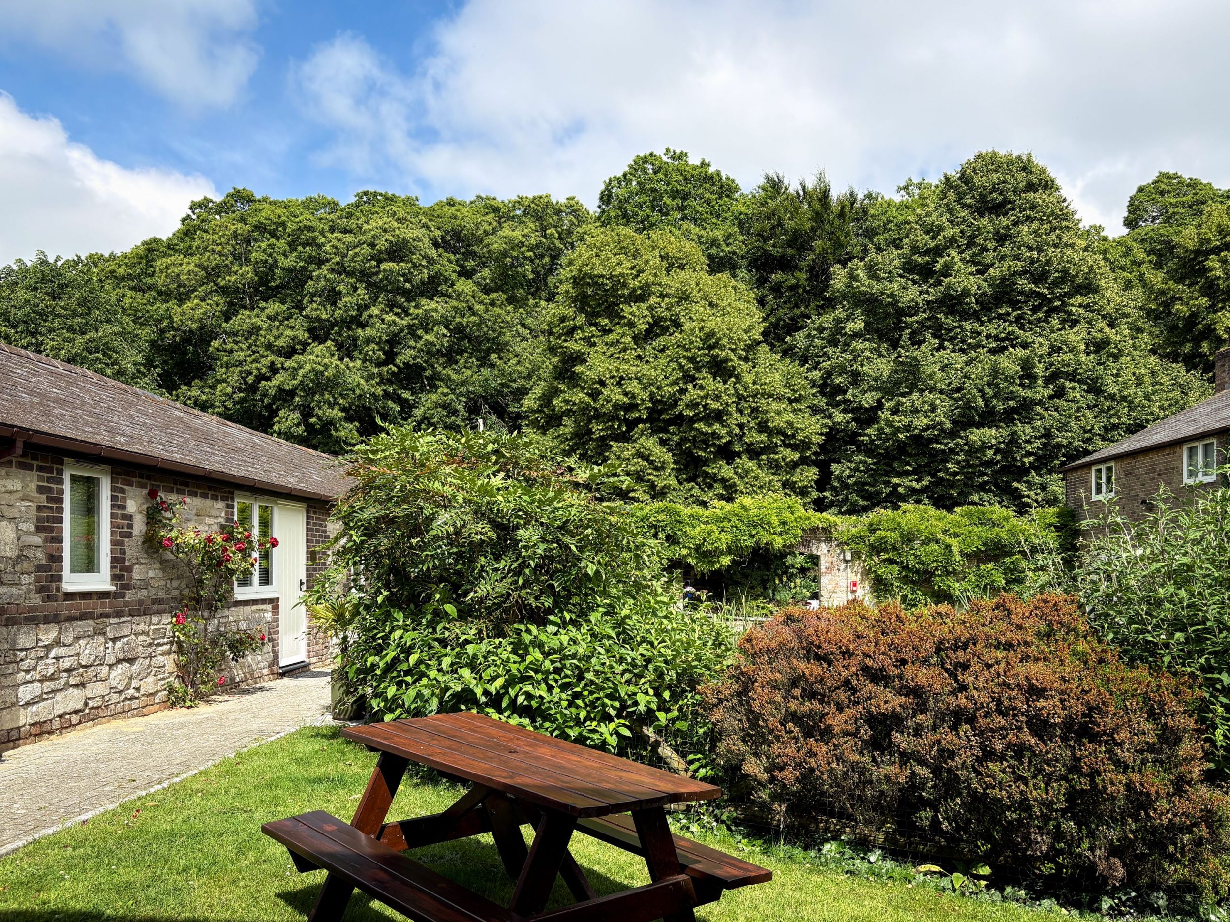 Rose Cottage Thorncombe Woods Holiday Cottage rose-cottage-thorncombe-woods-holiday-cottage