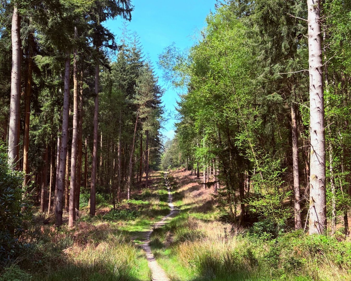 Heather Cottage image