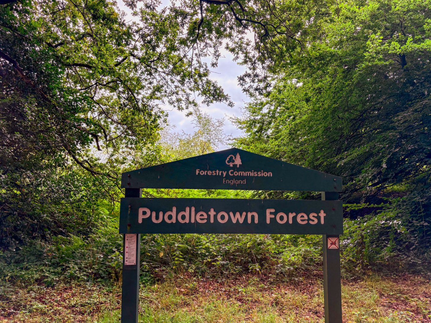 Heather Cottage image