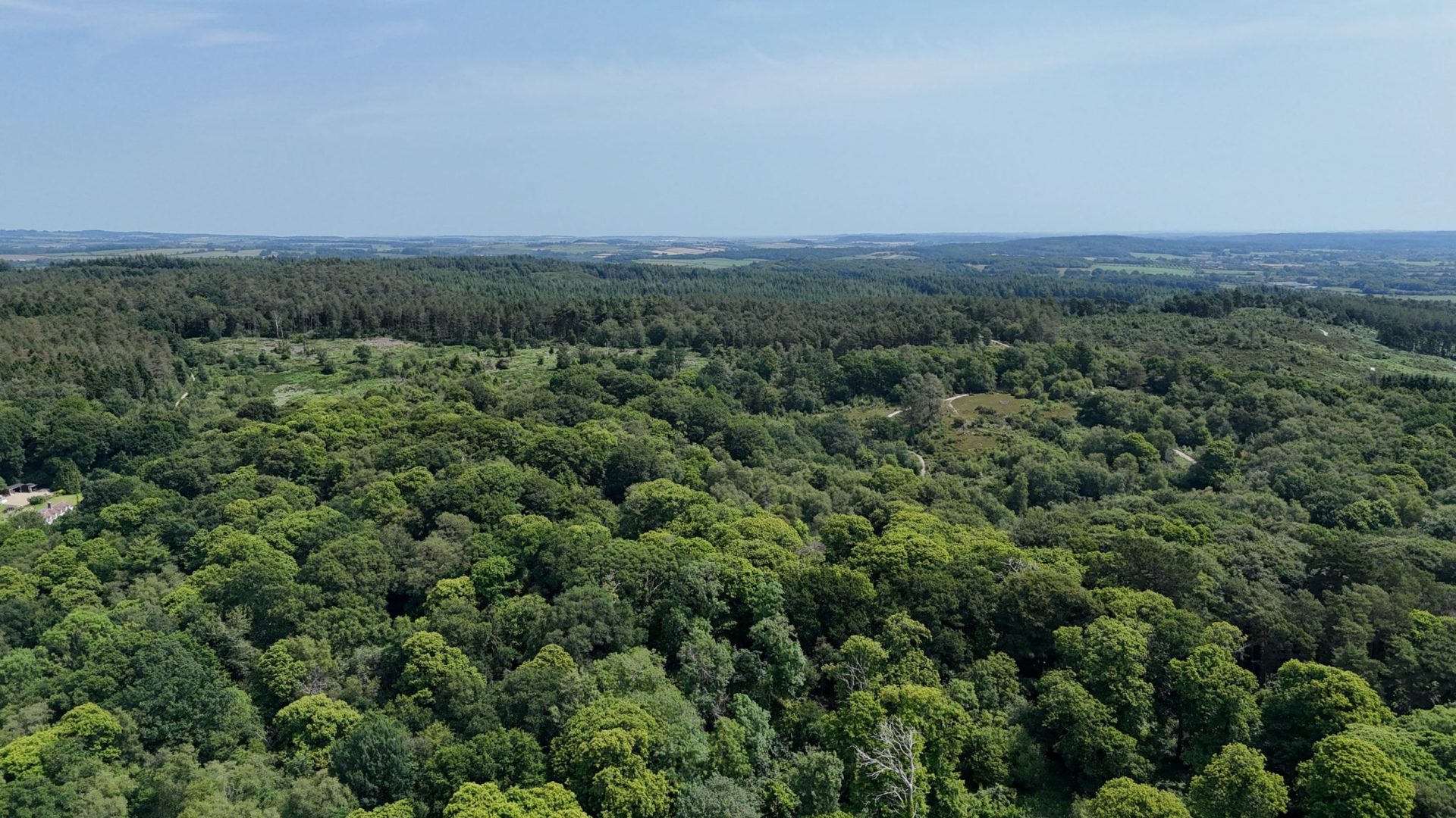 Jasmine Cottage image