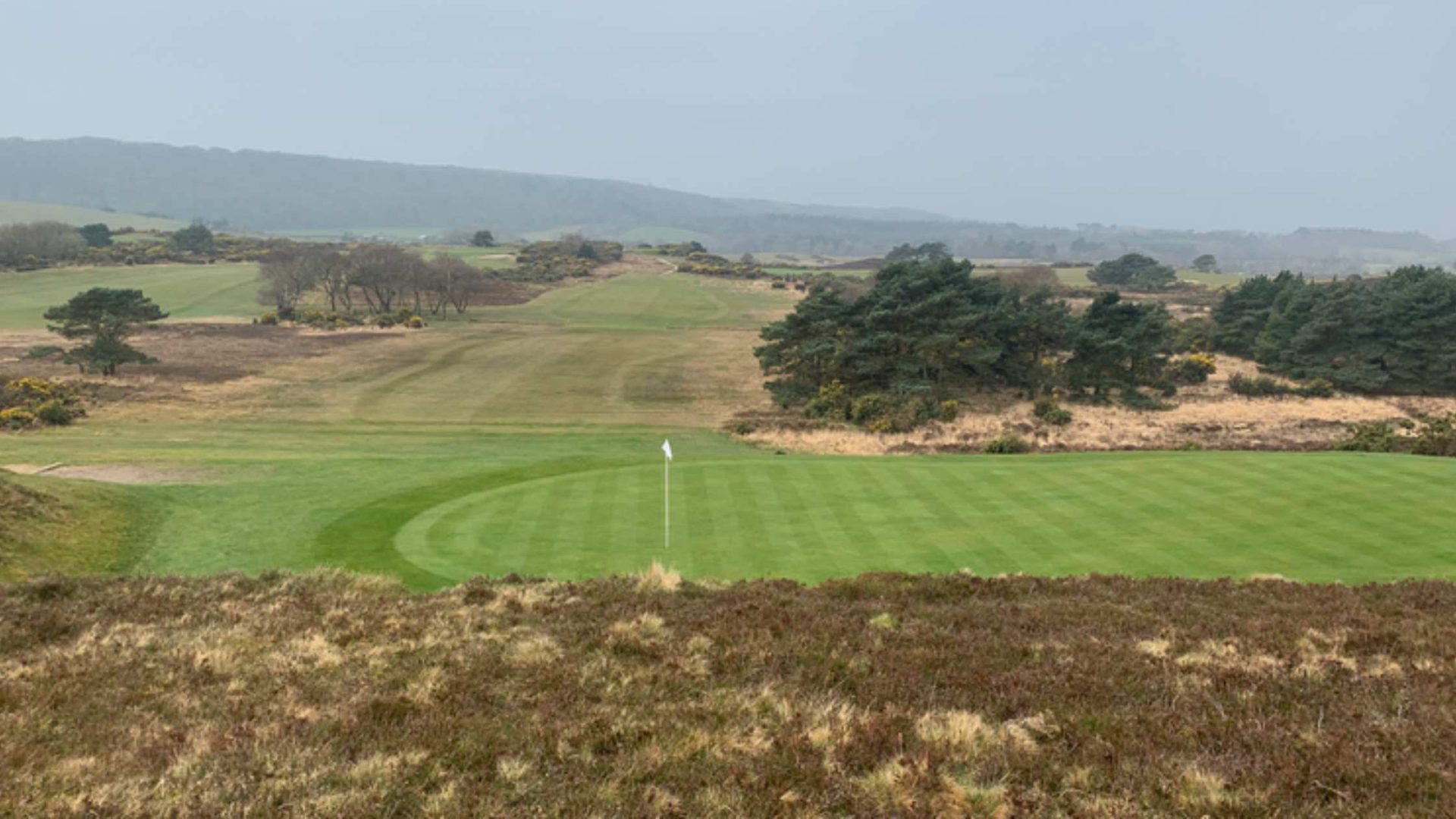 Isle of purbeck golf club