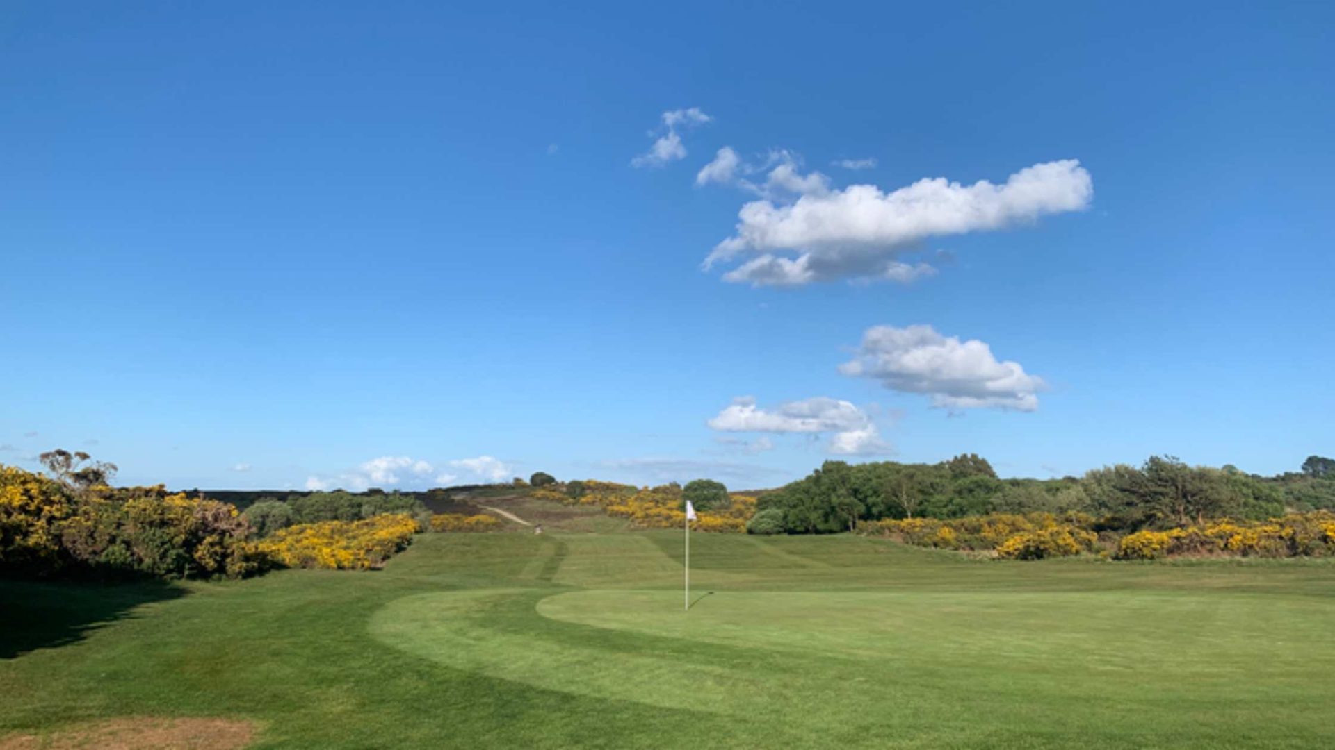 Isle of purbeck golf club
