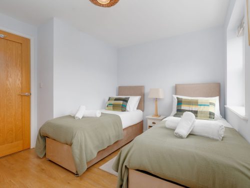 Saxon Mews image