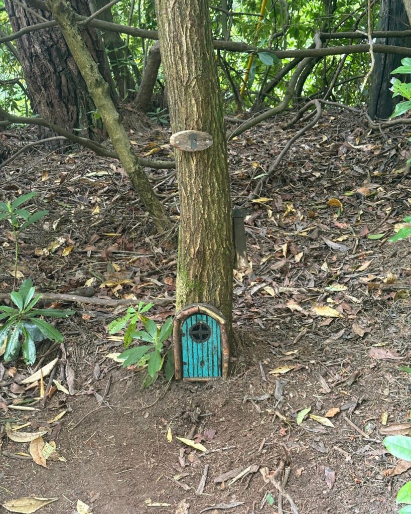 Fairy Door Blue Pool at Dorset