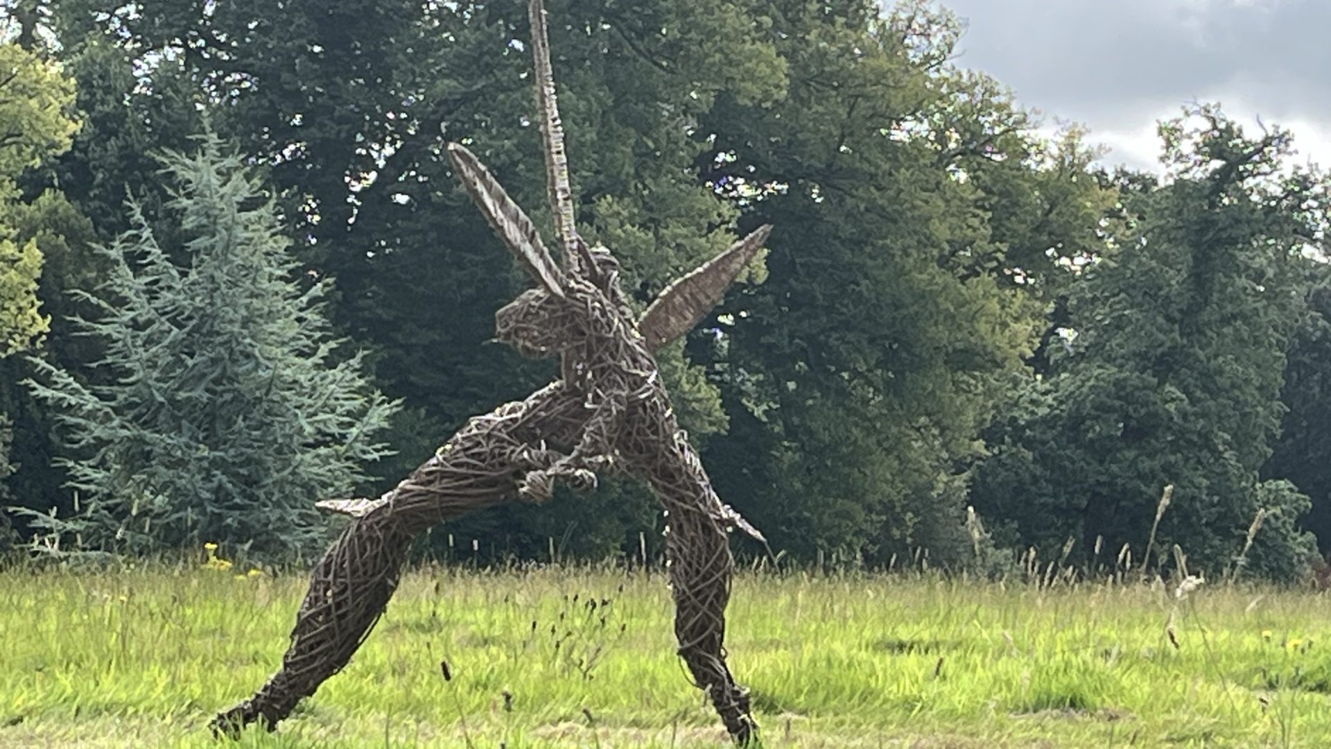 the gardens at minterne house