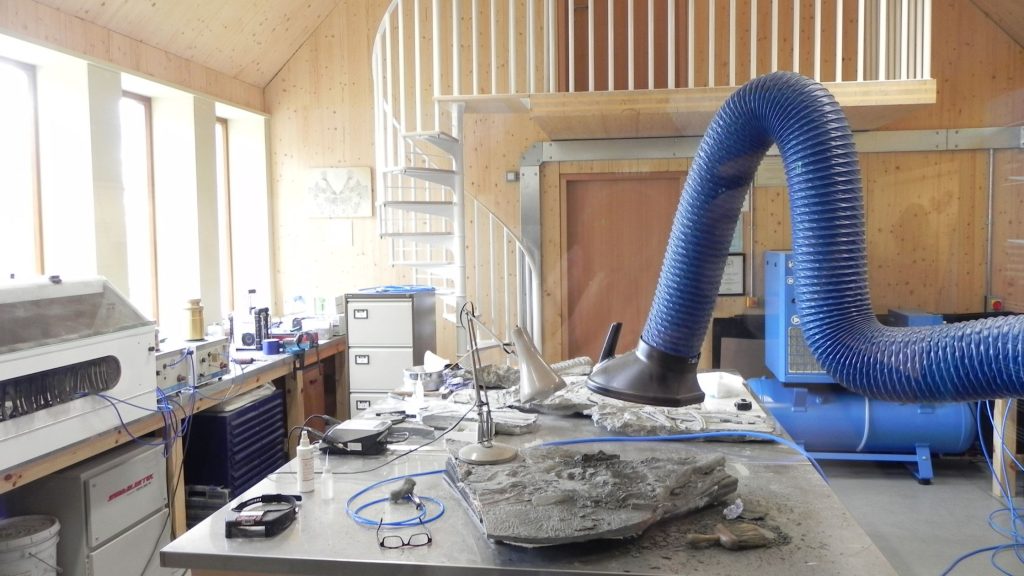 Fossil cleaning in dorset