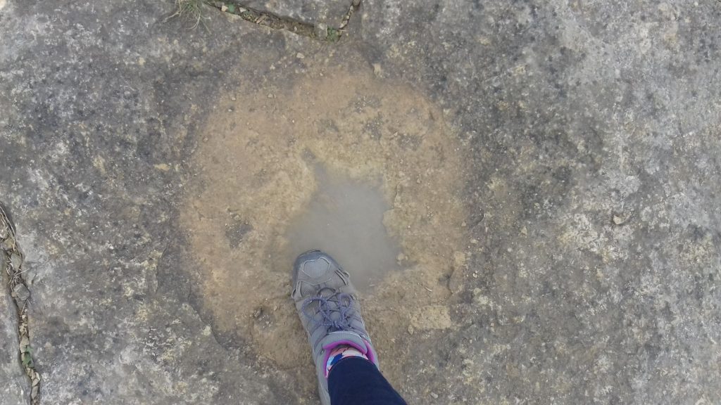 Dinosaur footprint in dorset