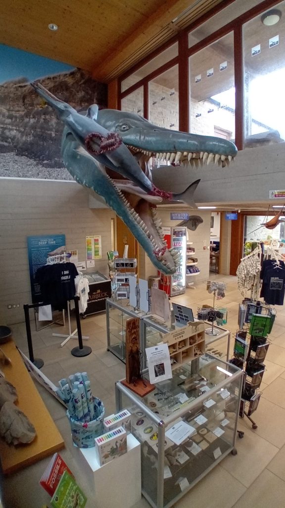 The Etches Collection Museum Of Jurassic Marine Life-2