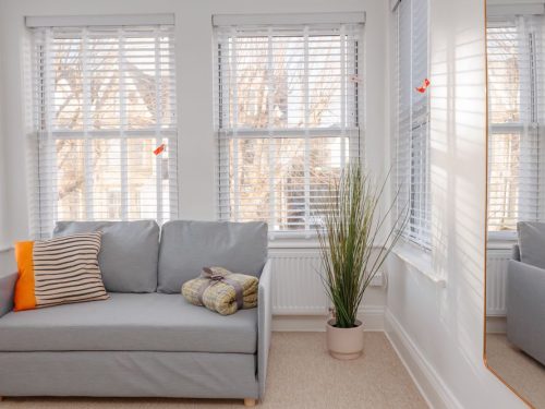 Sofa with a plant and large windows letting in natural light
