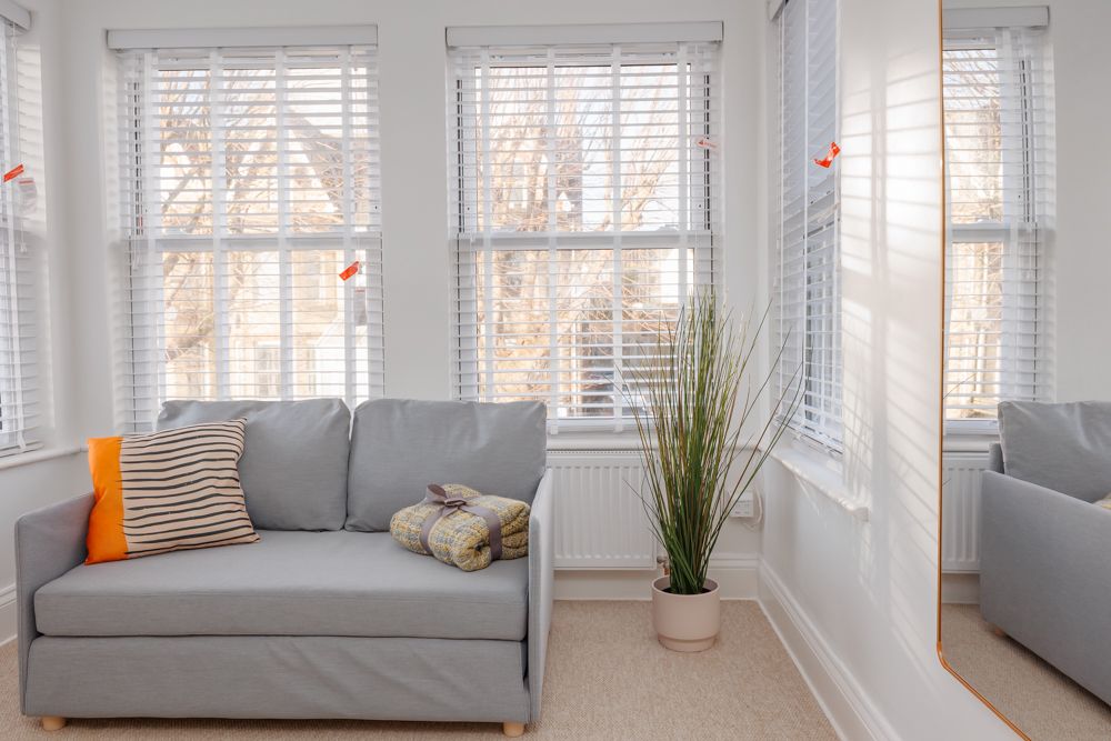 Sofa with a plant and large windows letting in natural light