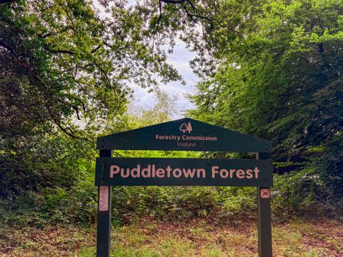 Wisteria Cottage image