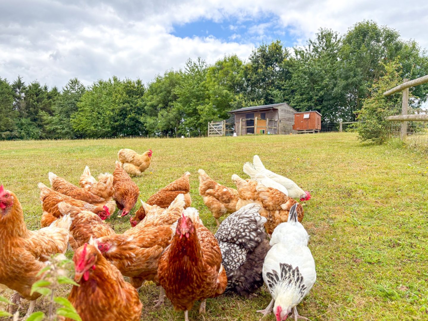 Sweet Pea Cottage image