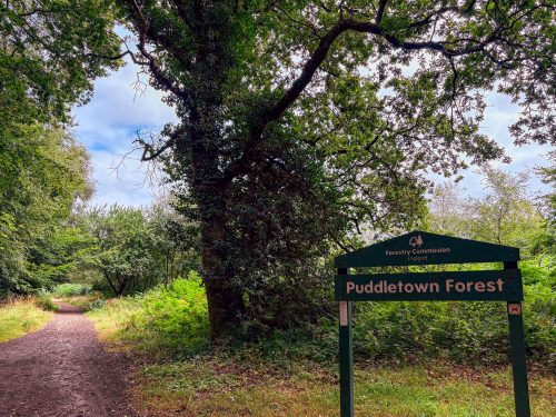 Jasmine Cottage image