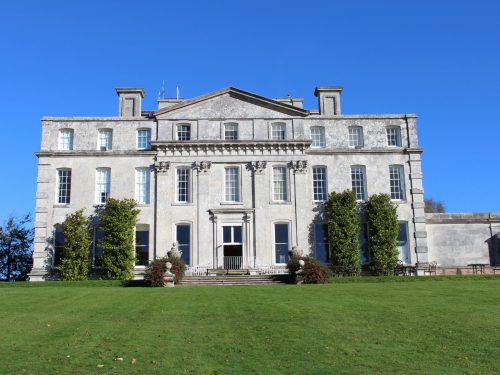 kingston lacey