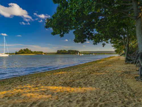 Westport Cottage image