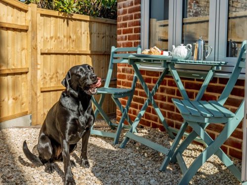 Little Strouds image