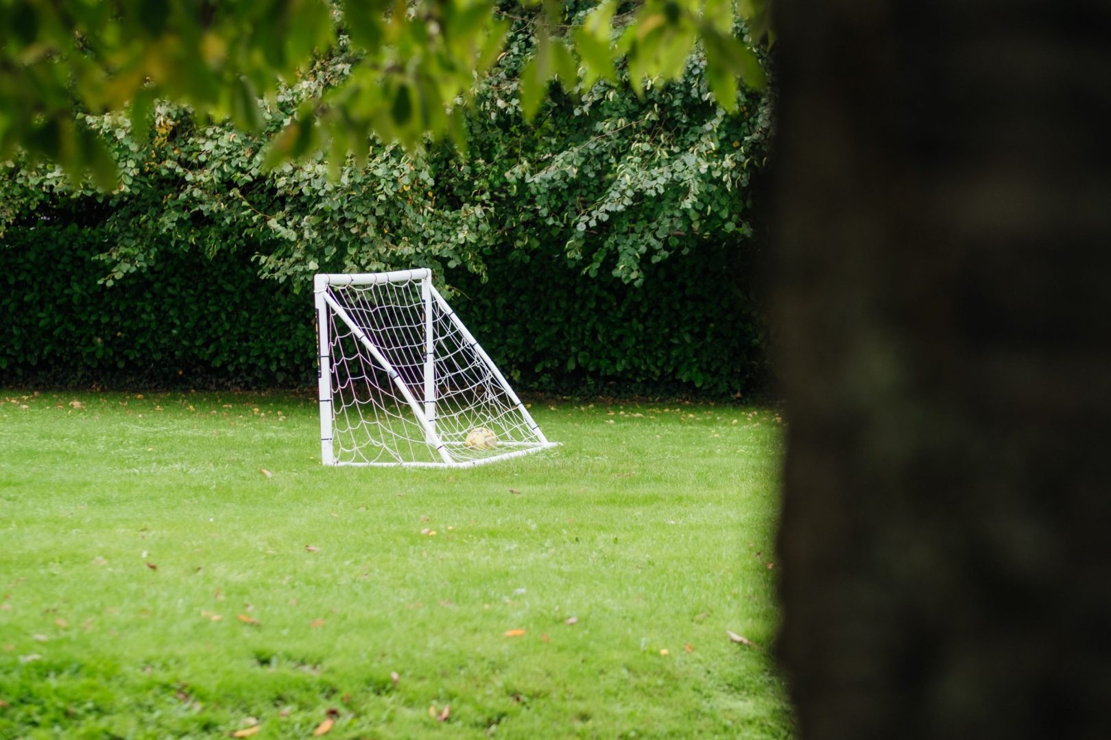 Forget Me Not Cottage image