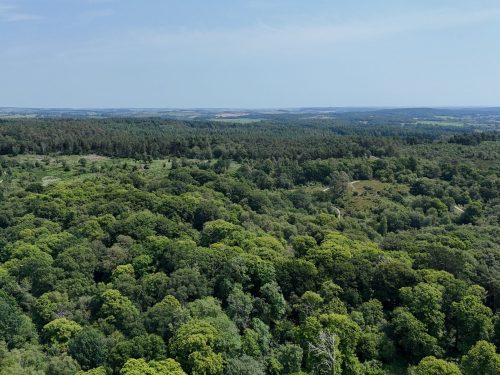 Jasmine Cottage image