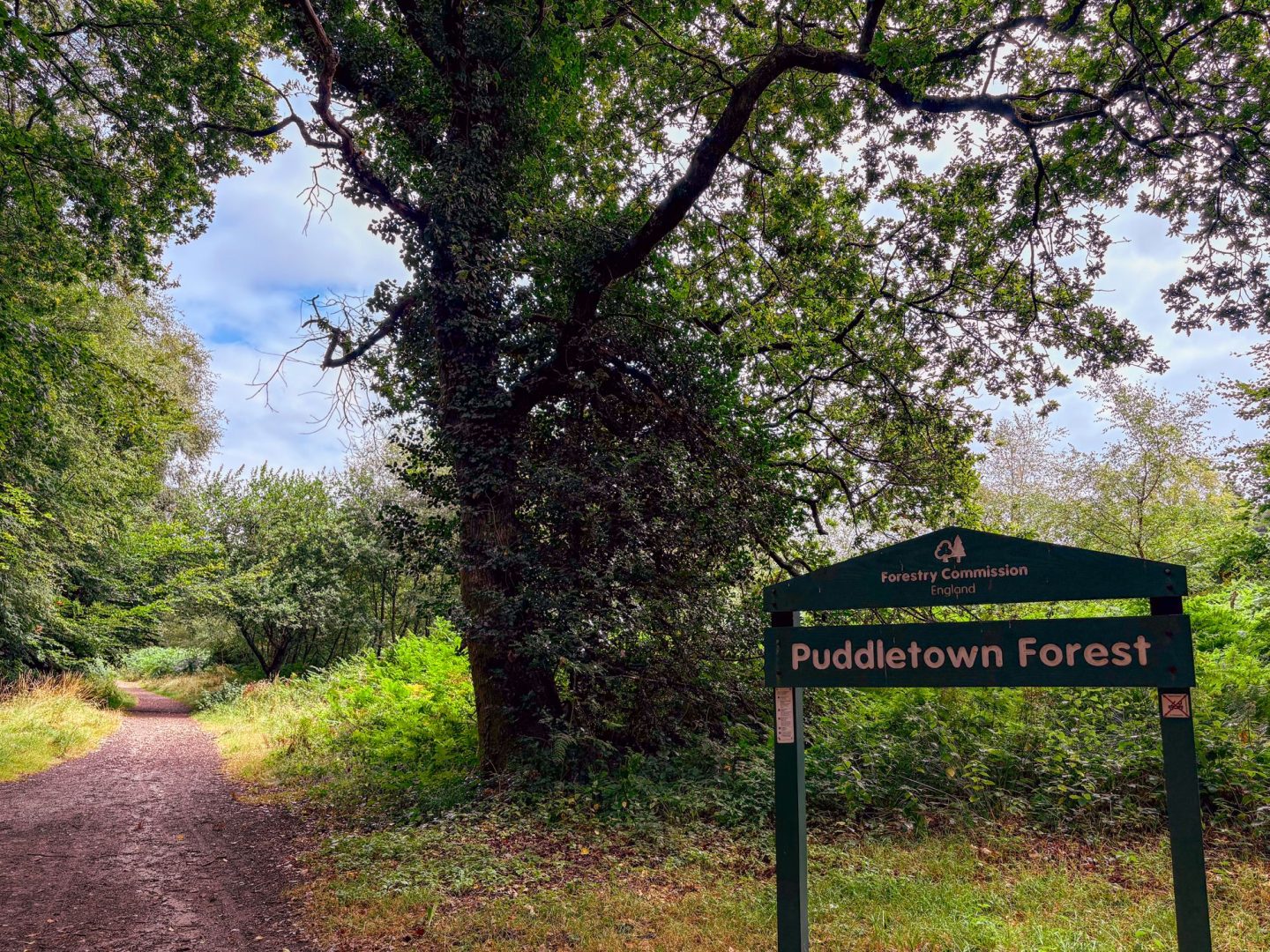 Jasmine Cottage image